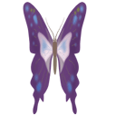 ������ ������� ���� ����