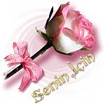 ������ ������� �� �����