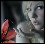 ������ ������� �������