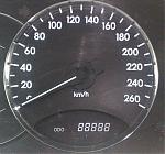 ������ ������� ����