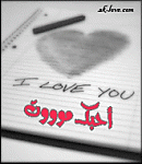 ������ ������� ����� ����