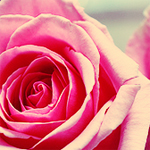 ������ ������� ������� �������