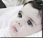 ������ ������� ��������� �������